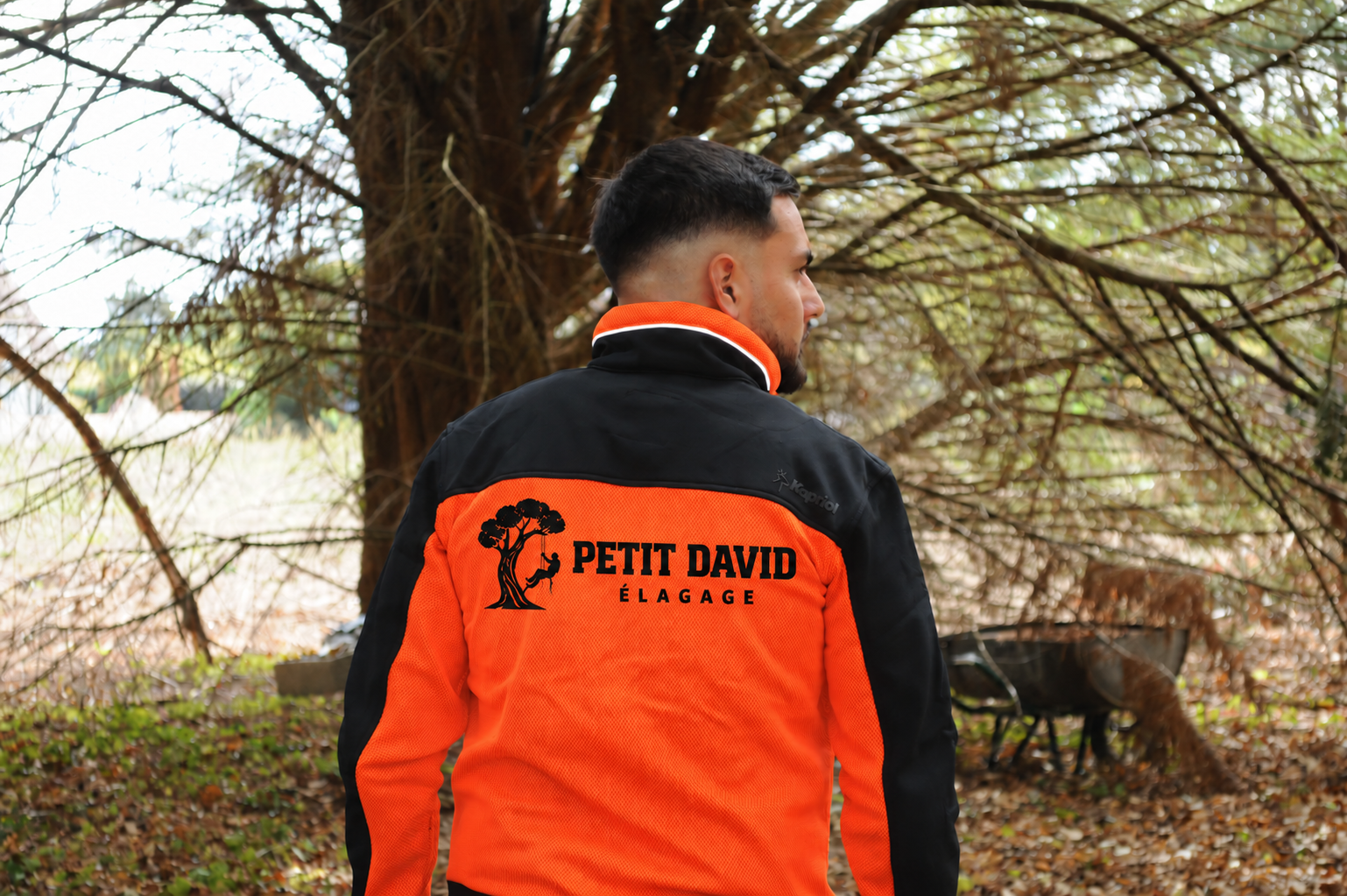 Réalisation Petit David Élagage